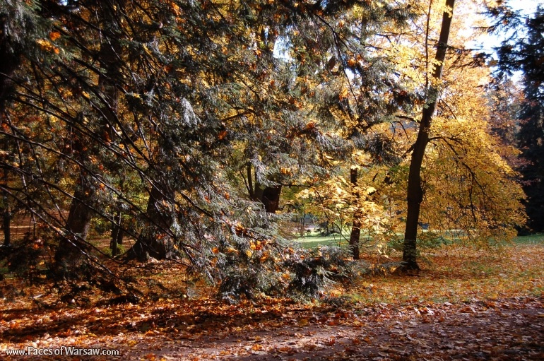 Faces of Warsaw - Łazienki in Autumn