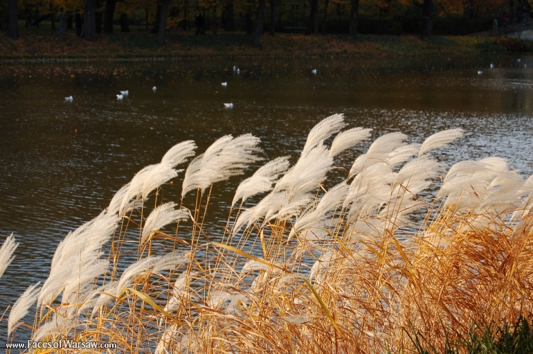 Faces of Warsaw - Łazienki in Autumn