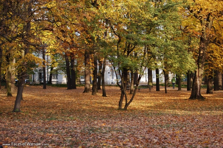 Faces of Warsaw - Łazienki in Autumn