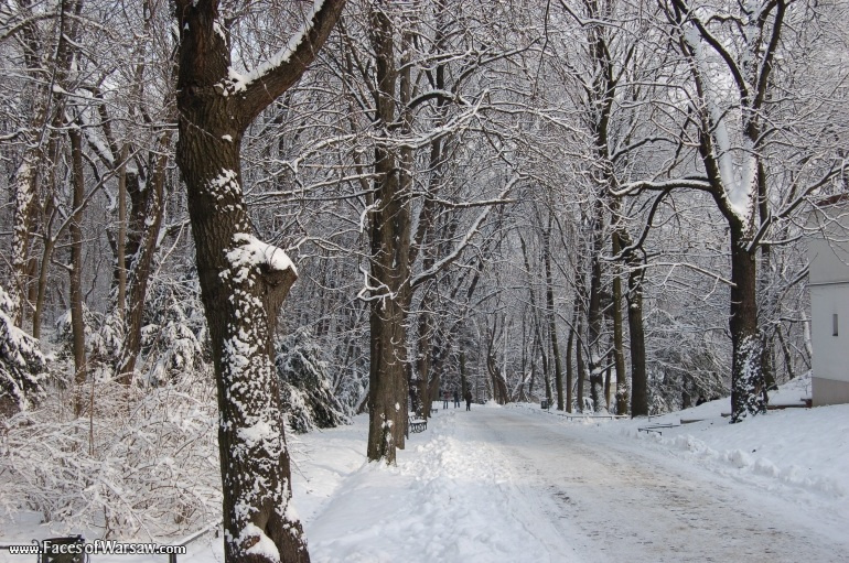 Faces of Warsaw - Łazienki in Winter
