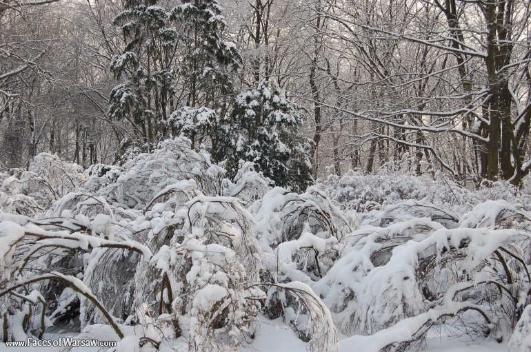 Faces of Warsaw - Łazienki in Winter