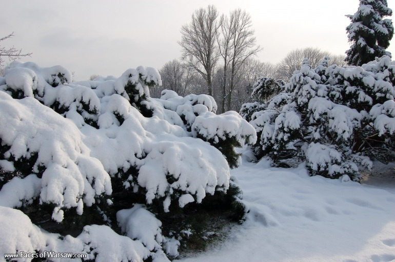 Faces of Warsaw - Łazienki in Winter