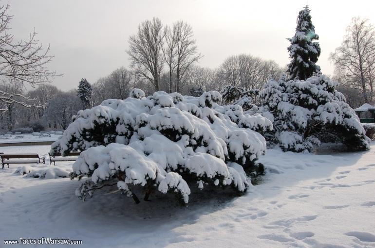 Faces of Warsaw - Łazienki in Winter