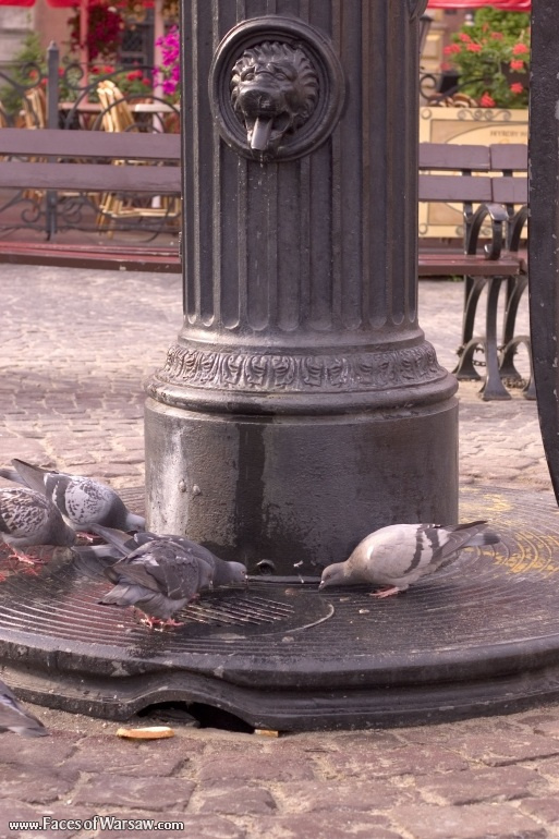 Faces of Warsaw - Market - Place: early morning - the water well