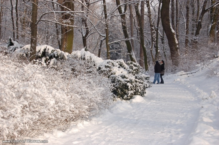 Faces of Warsaw - Łazienki in Winter