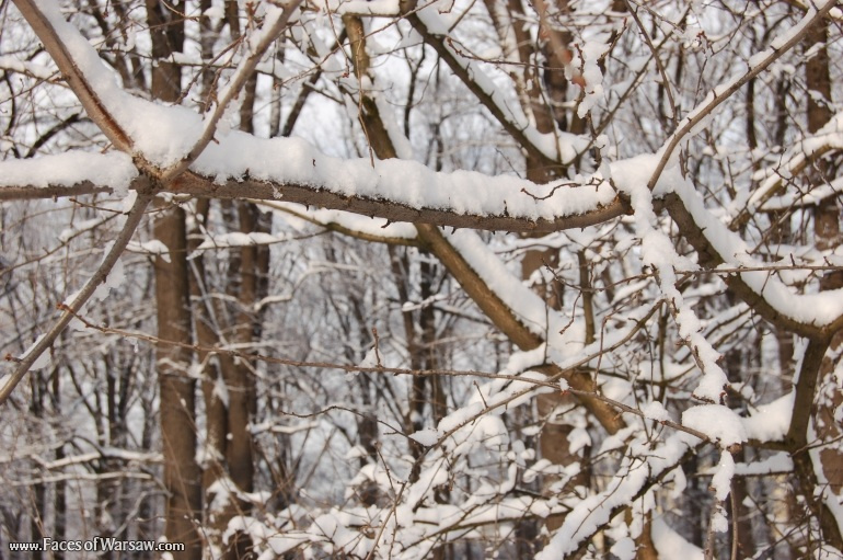 Faces of Warsaw - Łazienki in Winter