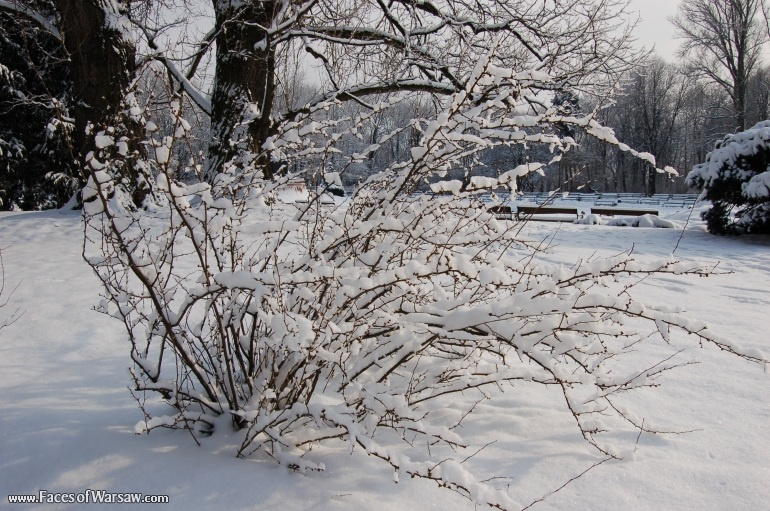 Faces of Warsaw - Łazienki in Winter