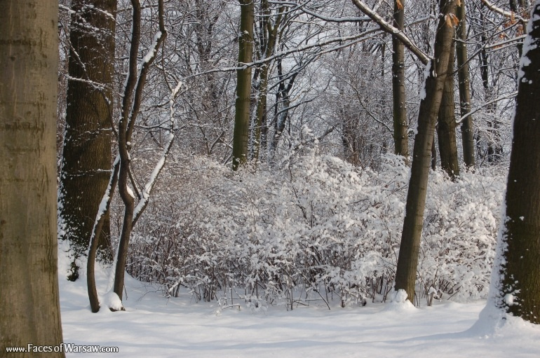 Faces of Warsaw - Łazienki in Winter
