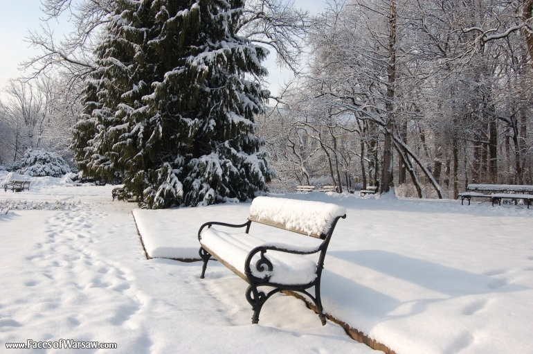 Faces of Warsaw - Łazienki in Winter