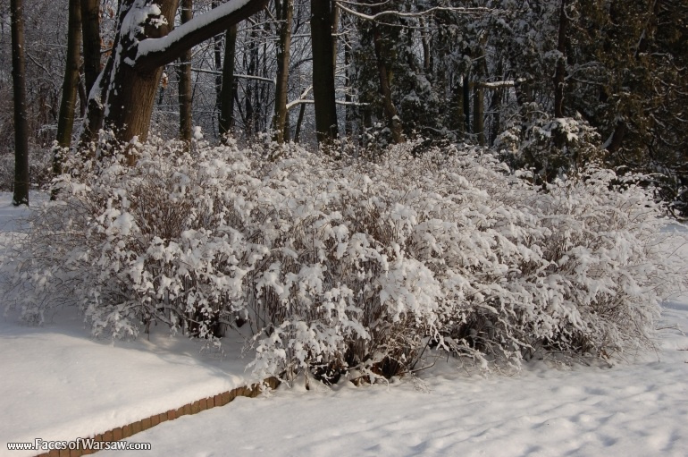 Faces of Warsaw - Łazienki in Winter