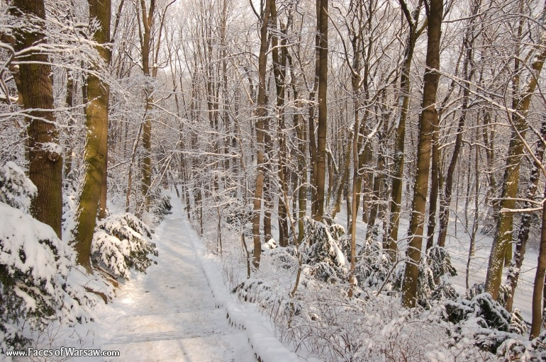 Faces of Warsaw - Łazienki in Winter