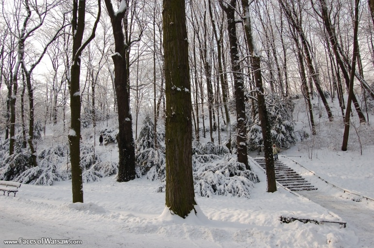 Faces of Warsaw - Łazienki in Winter