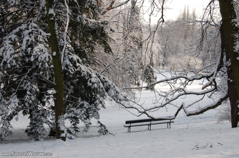 Faces of Warsaw - Łazienki in Winter