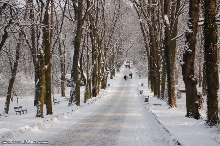 Faces of Warsaw - Łazienki in Winter