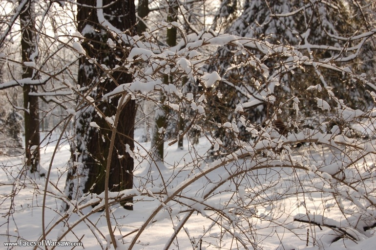 Faces of Warsaw - Łazienki in Winter