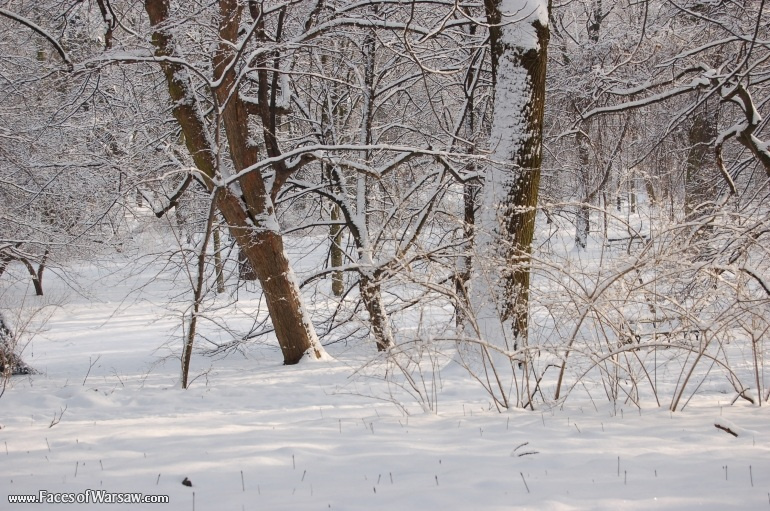Faces of Warsaw - Łazienki in Winter