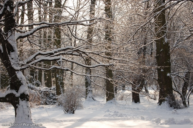 Faces of Warsaw - Łazienki in Winter