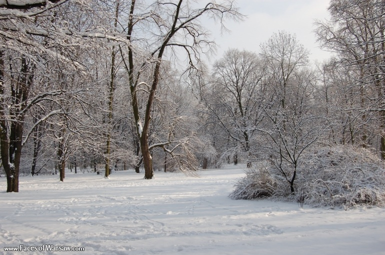 Faces of Warsaw - Łazienki in Winter