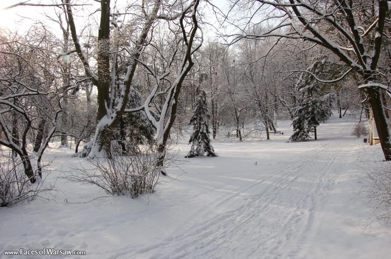 Faces of Warsaw - Łazienki in Winter