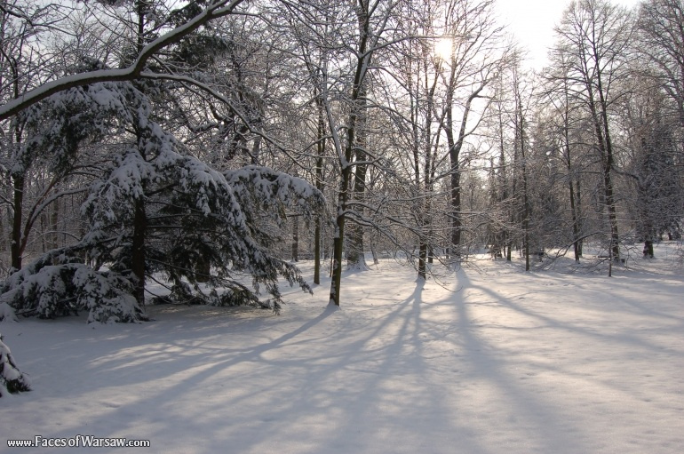 Faces of Warsaw - Łazienki in Winter