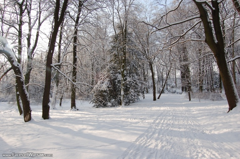Faces of Warsaw - Łazienki in Winter