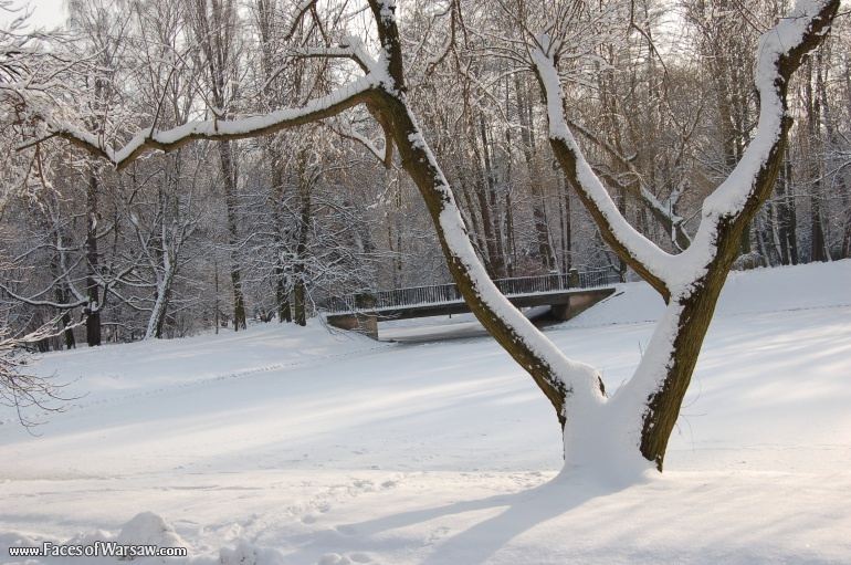 Faces of Warsaw - Łazienki in Winter