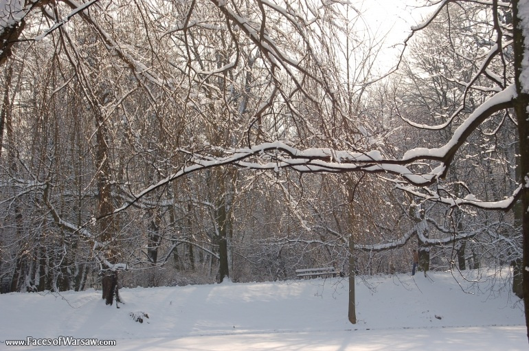 Faces of Warsaw - Łazienki in Winter