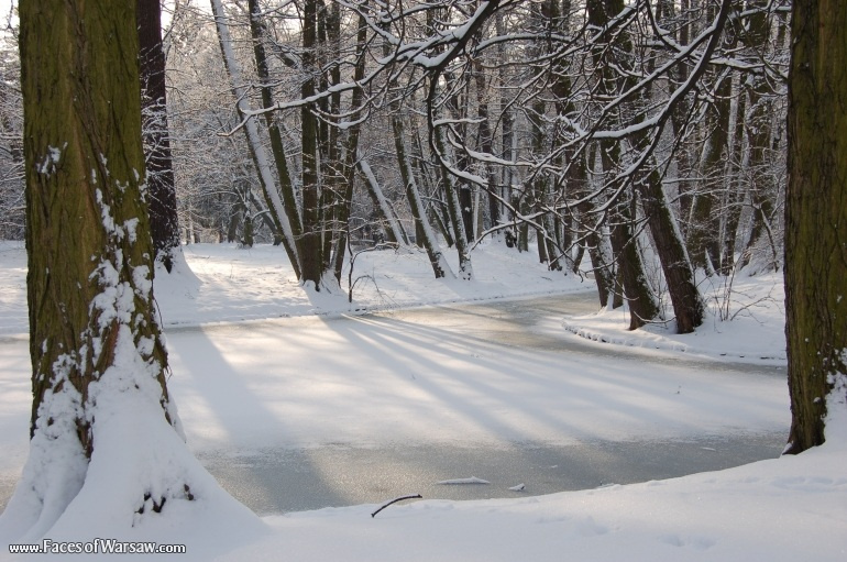 Faces of Warsaw - Łazienki in Winter