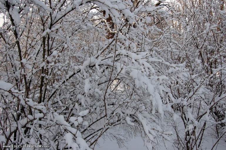 Faces of Warsaw - Łazienki in Winter