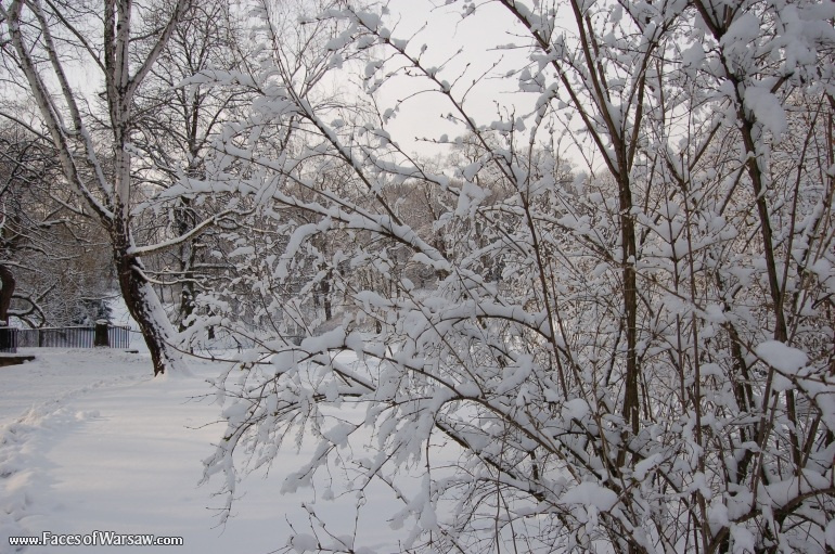 Faces of Warsaw - Łazienki in Winter