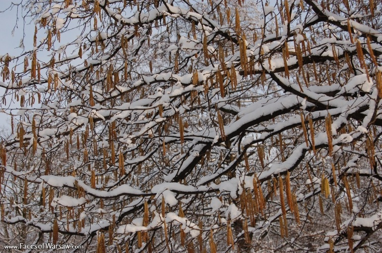 Faces of Warsaw - Łazienki in Winter