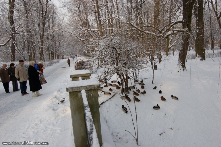 Faces of Warsaw - Łazienki in Winter