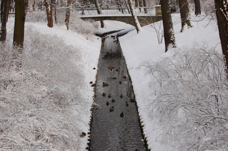 Faces of Warsaw - Łazienki in Winter
