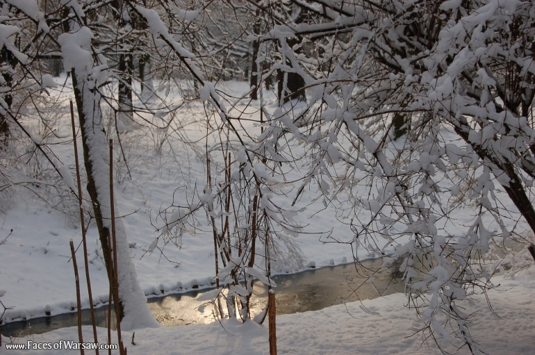 Faces of Warsaw - Łazienki in Winter