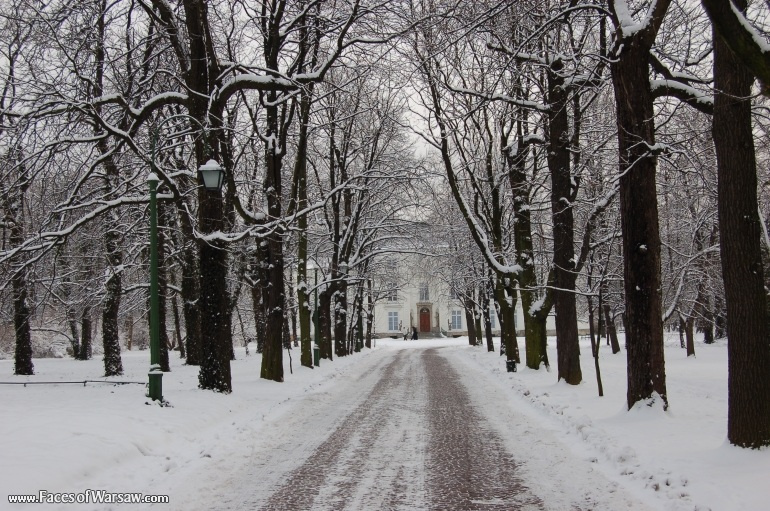 Faces of Warsaw - Łazienki in Winter