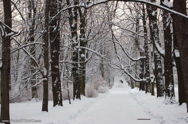 Faces of Warsaw - Łazienki in Winter