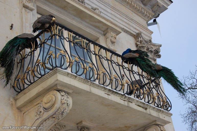 Faces of Warsaw - Łazienki - Palace on Island
